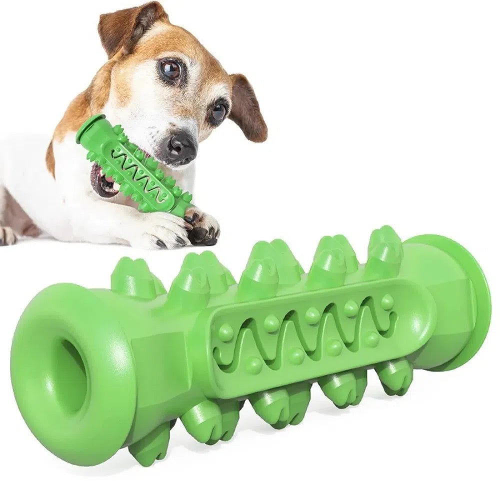 Dental Health Dog Rope Chew Toy - For Our Little One