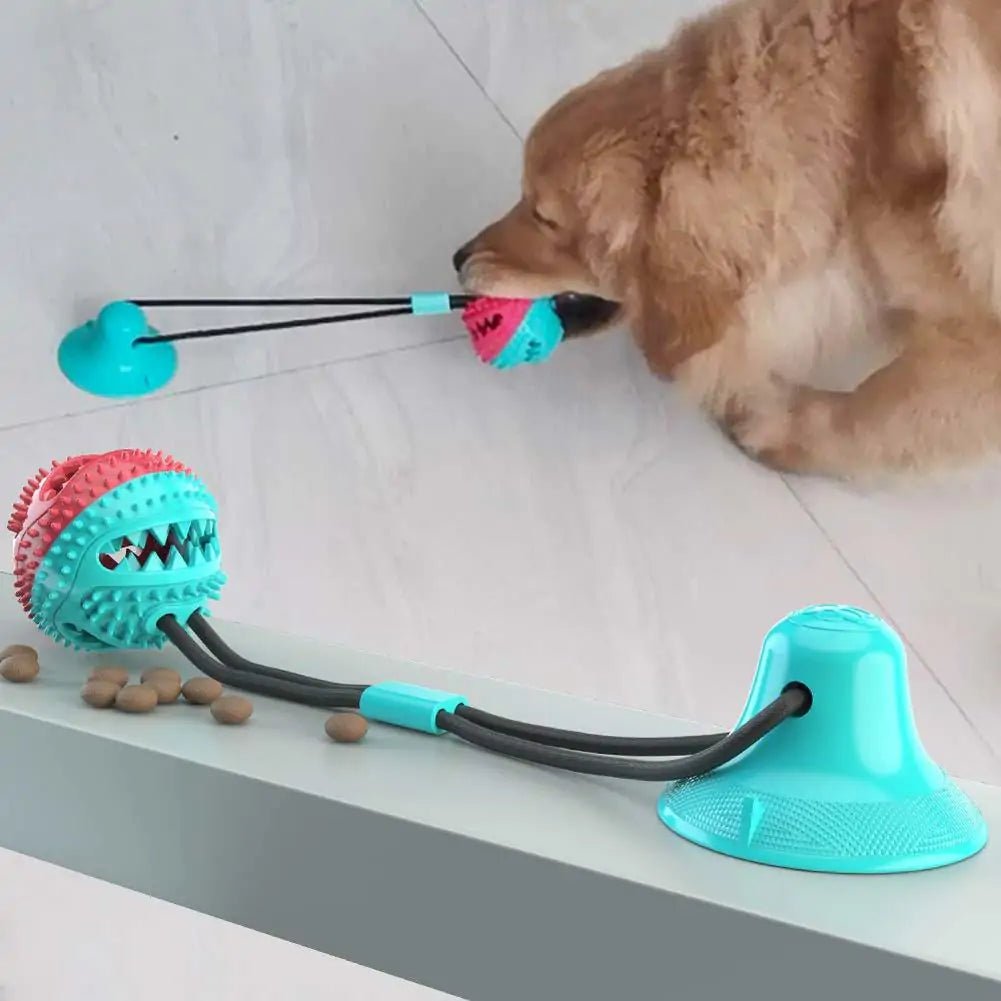 FunTime Pet Dental Toy - For Our Little One