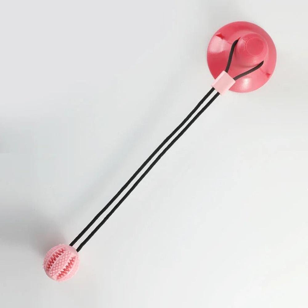 FunTime Pet Dental Toy - For Our Little One