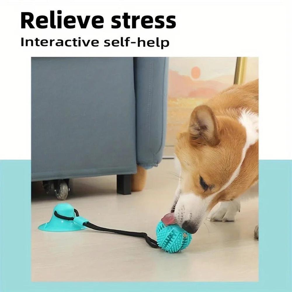 FunTime Pet Dental Toy - For Our Little One