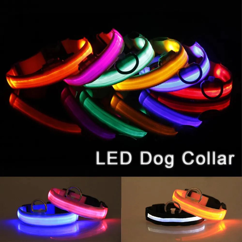 Glowing Safety LED Dog Collar - For Our Little One