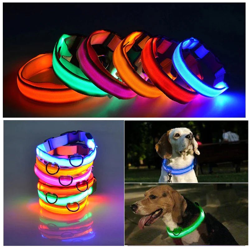 Glowing Safety LED Dog Collar - For Our Little One