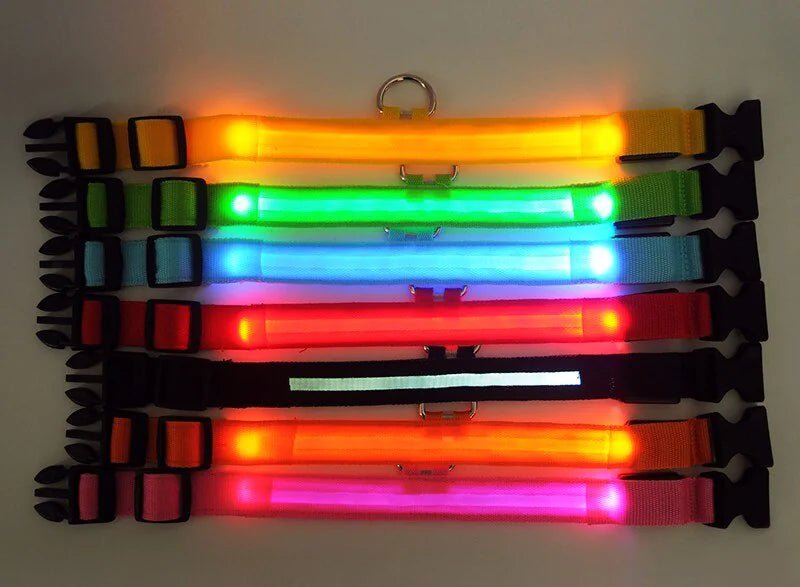 Glowing Safety LED Dog Collar - For Our Little One