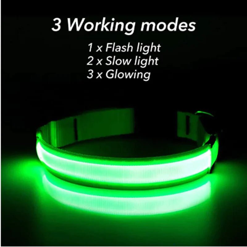 Glowing Safety LED Dog Collar - For Our Little One