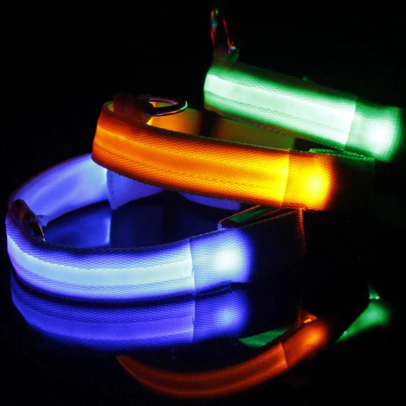 Glowing Safety LED Dog Collar - For Our Little One