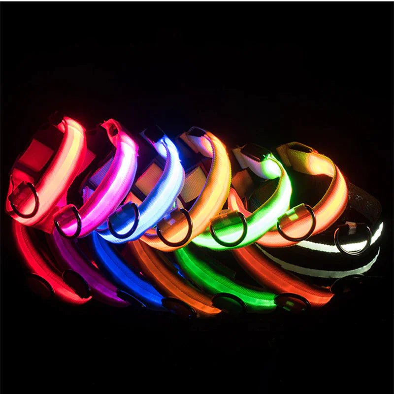 Glowing Safety LED Dog Collar - For Our Little One