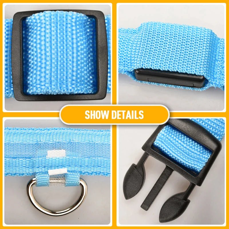Glowing Safety LED Dog Collar - For Our Little One