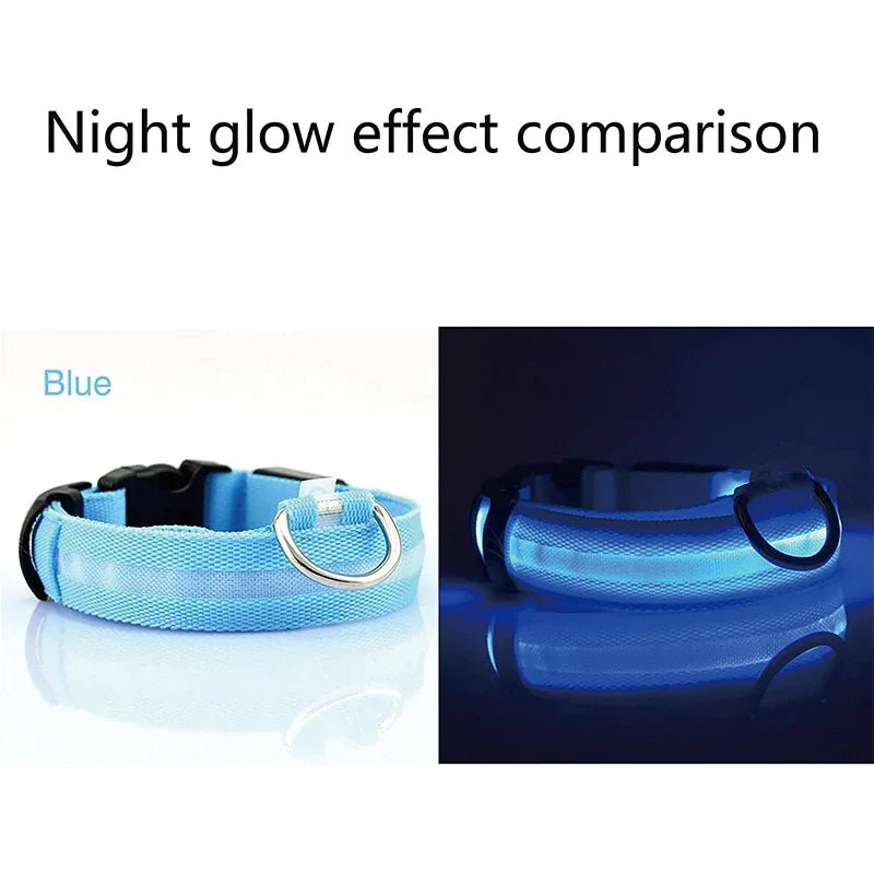Glowing Safety LED Dog Collar - For Our Little One