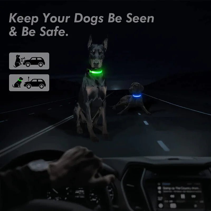 Glowing Safety LED Dog Collar - For Our Little One
