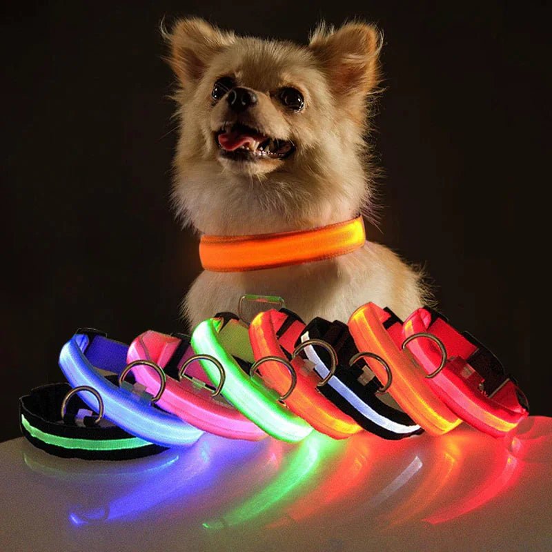 Glowing Safety LED Dog Collar - For Our Little One