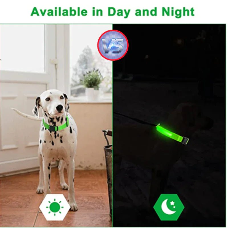 Glowing Safety LED Dog Collar - For Our Little One