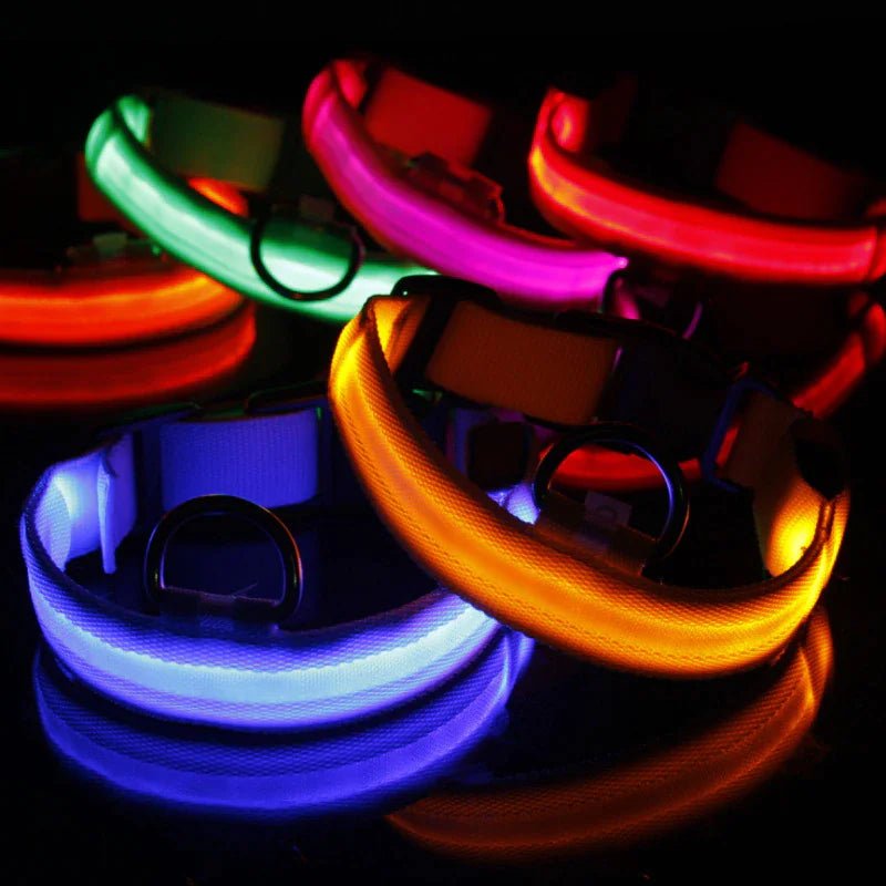 Glowing Safety LED Dog Collar - For Our Little One