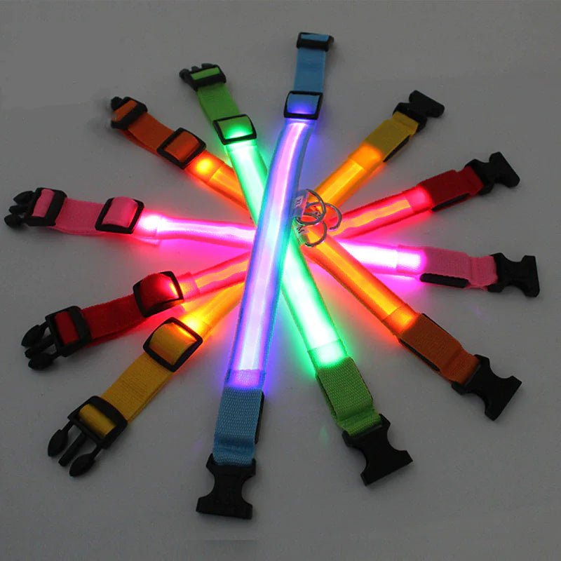 Glowing Safety LED Dog Collar - For Our Little One