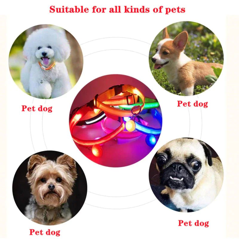 Glowing Safety LED Dog Collar - For Our Little One
