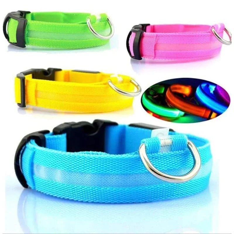 Glowing Safety LED Dog Collar - For Our Little One