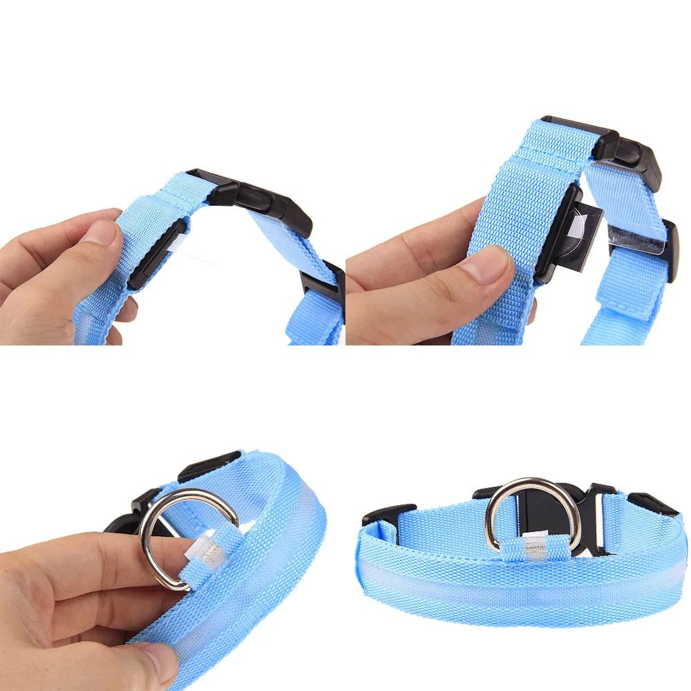 Glowing Safety LED Dog Collar - For Our Little One