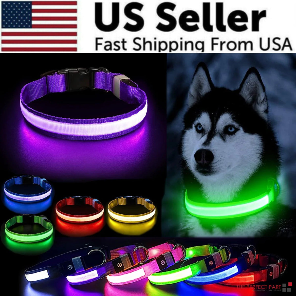 Glowing Safety LED Dog Collar - For Our Little One
