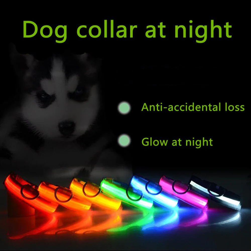 Glowing Safety LED Dog Collar - For Our Little One