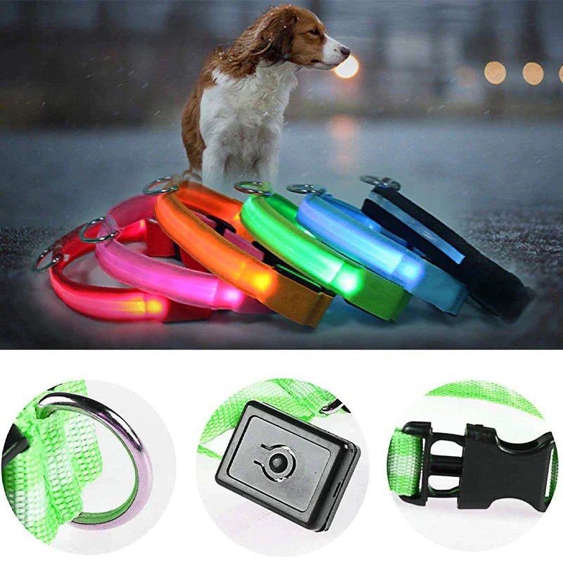 Glowing Safety LED Dog Collar - For Our Little One