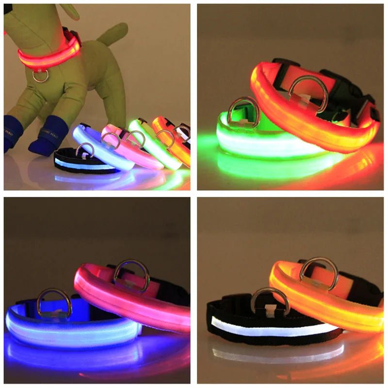 Glowing Safety LED Dog Collar - For Our Little One