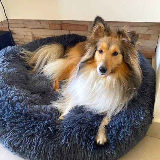 Luxury Calming Pet Bed - For Our Little One