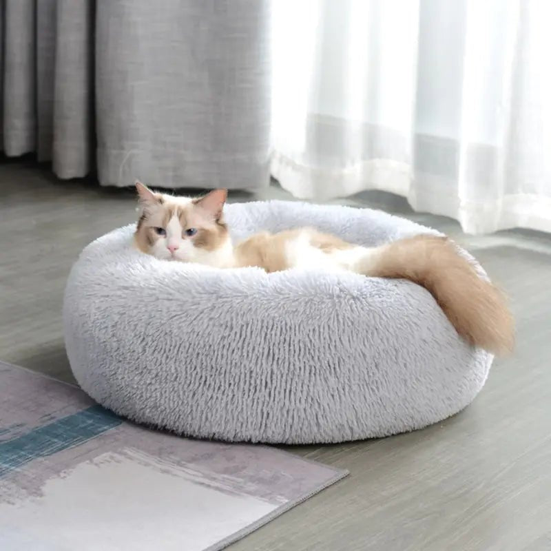 Luxury Calming Pet Bed - For Our Little One