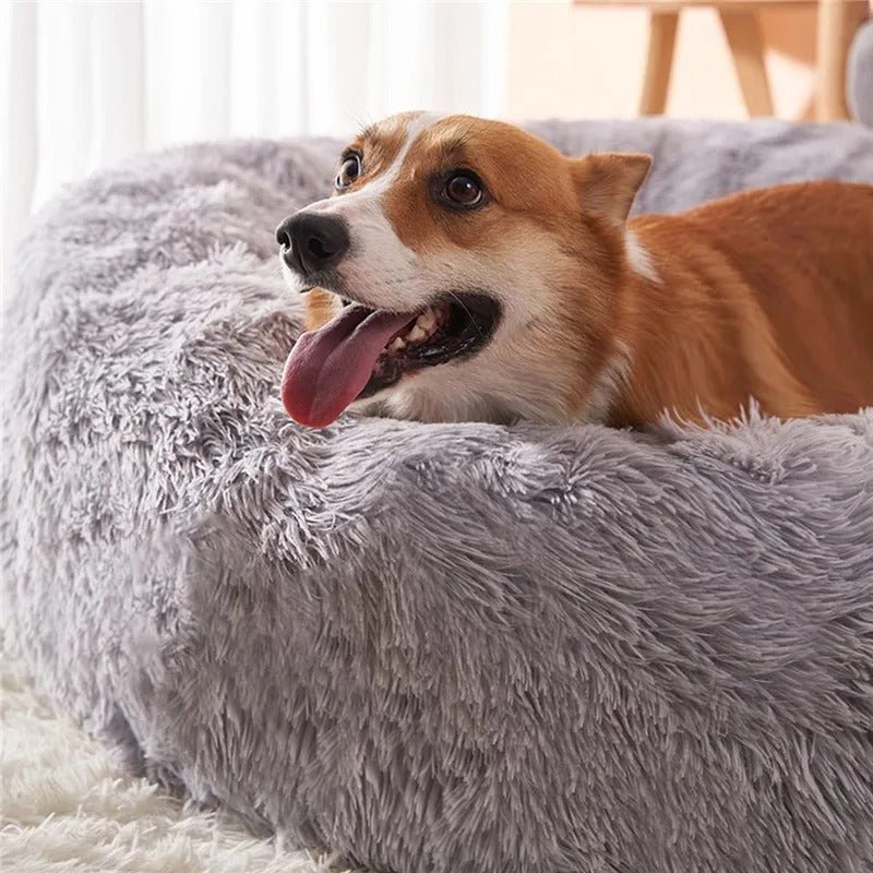 Luxury Calming Pet Bed - For Our Little One