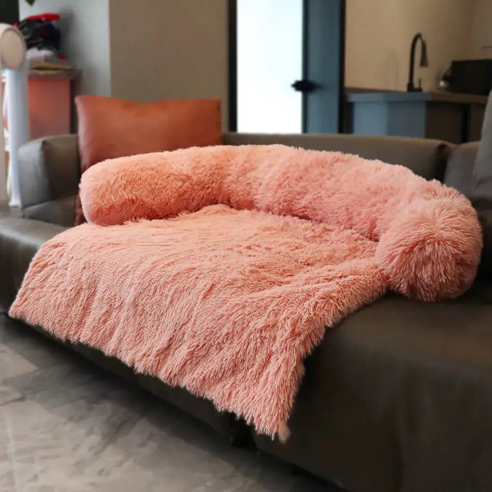 Luxury Dog Sofa Bed - For Our Little One