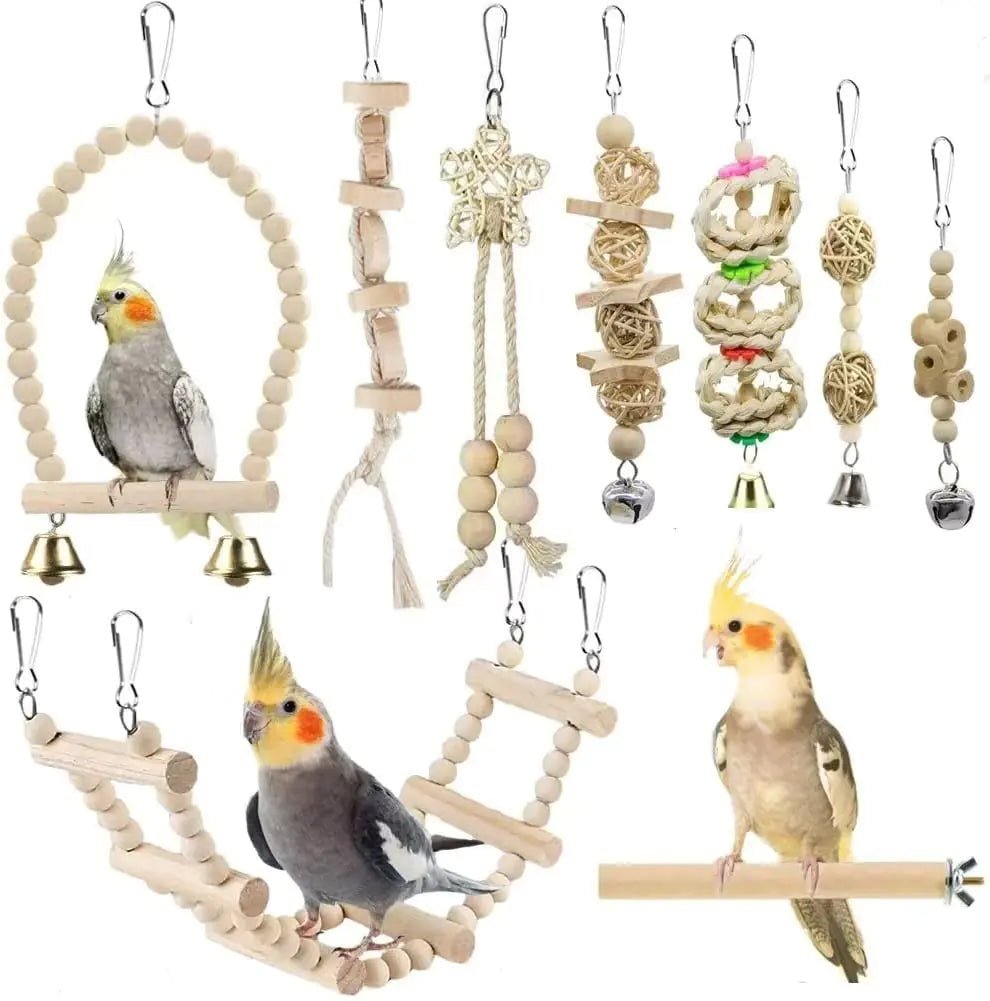 Parrot Playtime Swing Set - For Our Little One